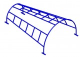Лиана конусная