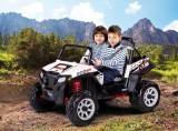 Polaris Ranger RZR 900